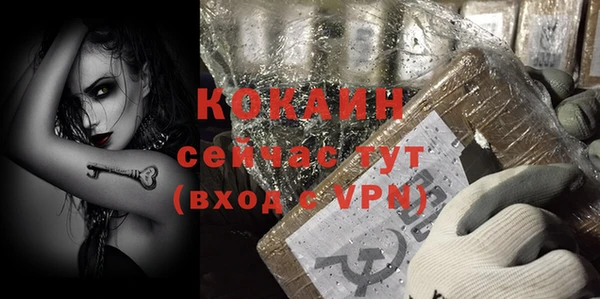 ECSTASY Каменка