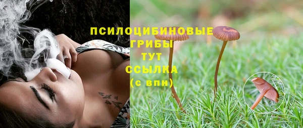 МДМА Каменногорск