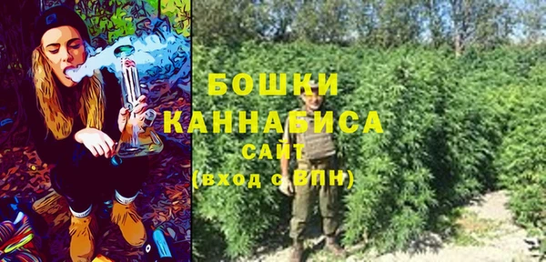 ECSTASY Каменка
