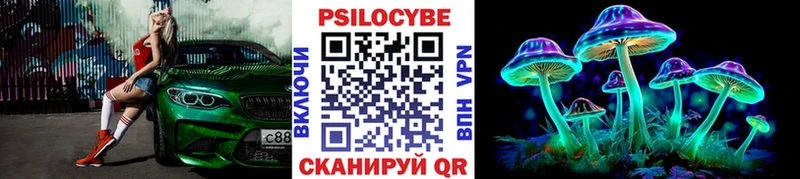 купить наркотики цена  Кирс  Галлюциногенные грибы Magic Shrooms 